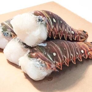 Caribbean Spiny Lobster Tails