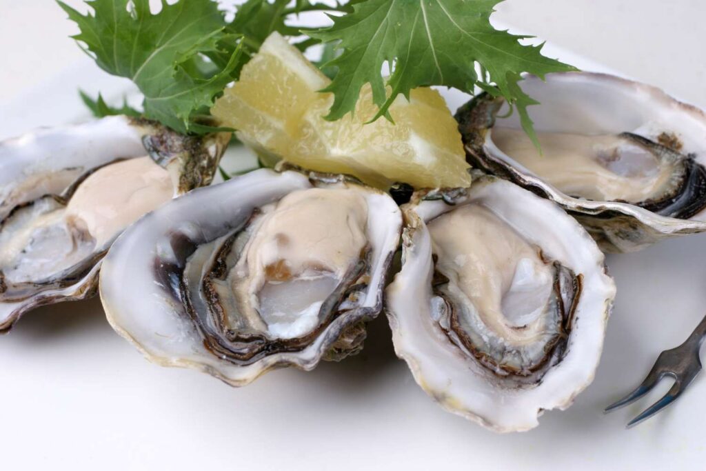 Fresh Atlantic Oysters