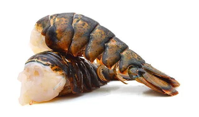 Fresh Maine Lobster Tails