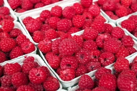 Fresh-Picked Raspberries