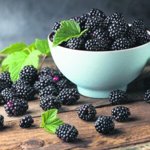 Hand-Picked Blackberries