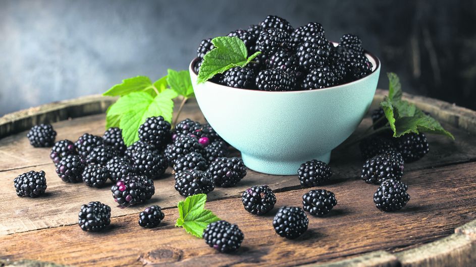 Hand-Picked Blackberries