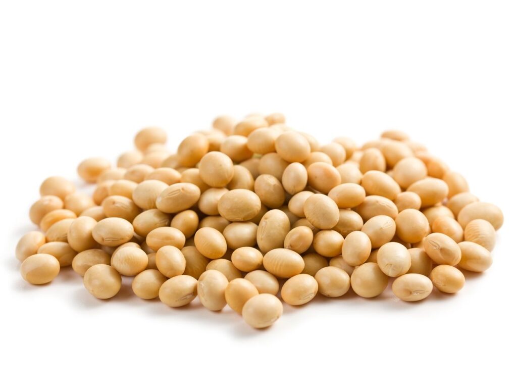Organic Soybean Meal