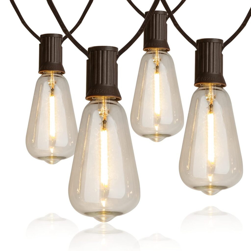 Outdoor String Lights (Type: Edison Bulbs)