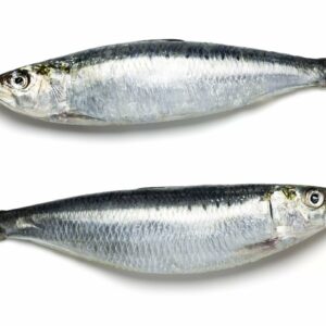 Pacific Sardines (Type: Whole)