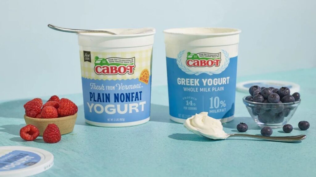 Plain Yogurt (Variety: Regular)