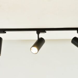 Track Lighting (Type: Adjustable)