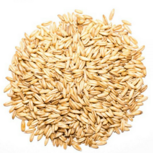 Wheat Germ Meal