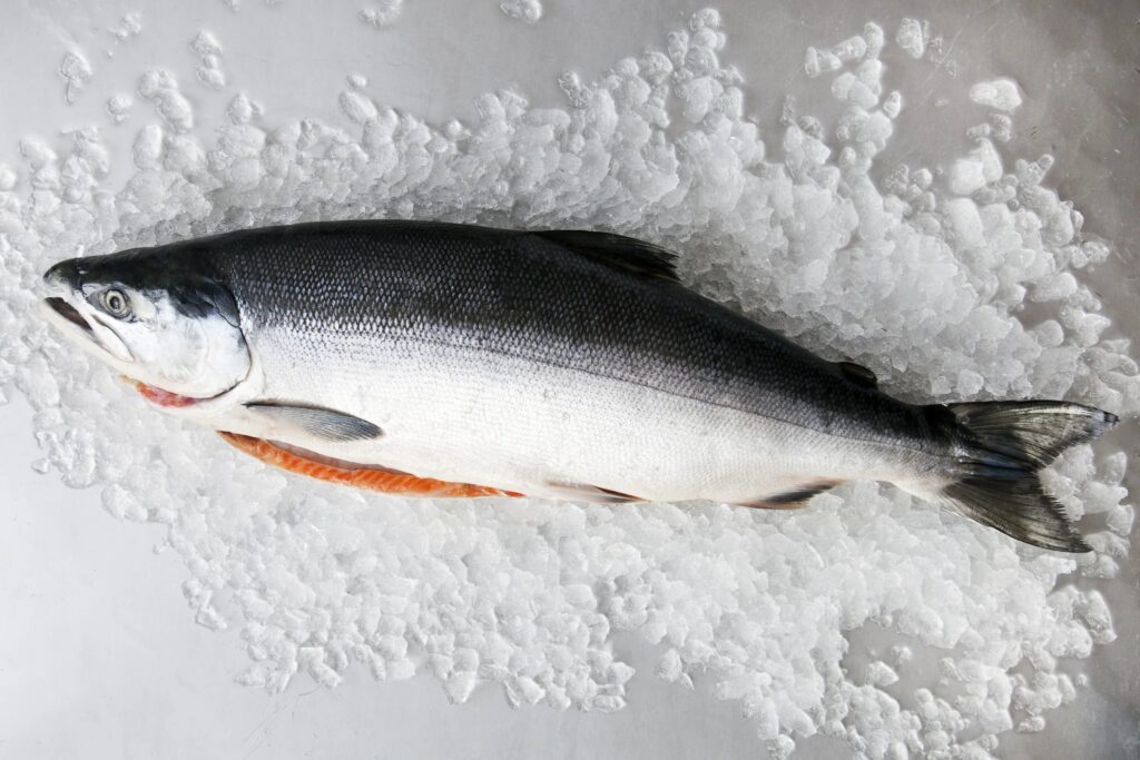 Whole Alaskan Sockeye Salmon