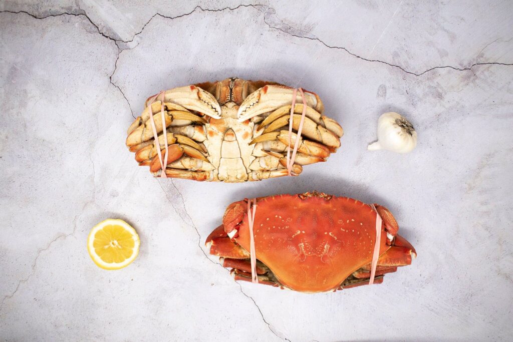 Wild-Caught Dungeness Crab
